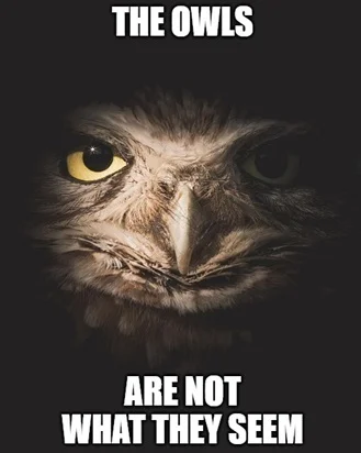 Apaturia - >i sowa ma charakter? To dobry ptak?

@Schyzu: