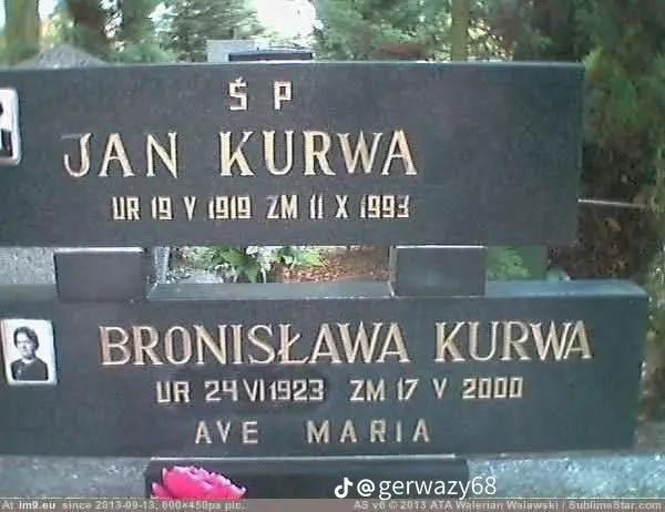 GoldenJanusz - #przegryw #chloppill #umierajzwykopem