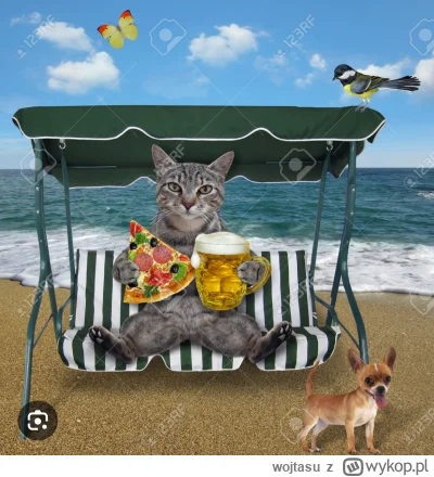 wojtasu - Mireczki czy ktoś z Was prowadzi lub zna pensjonat  lub jakieś fajne miejsc...