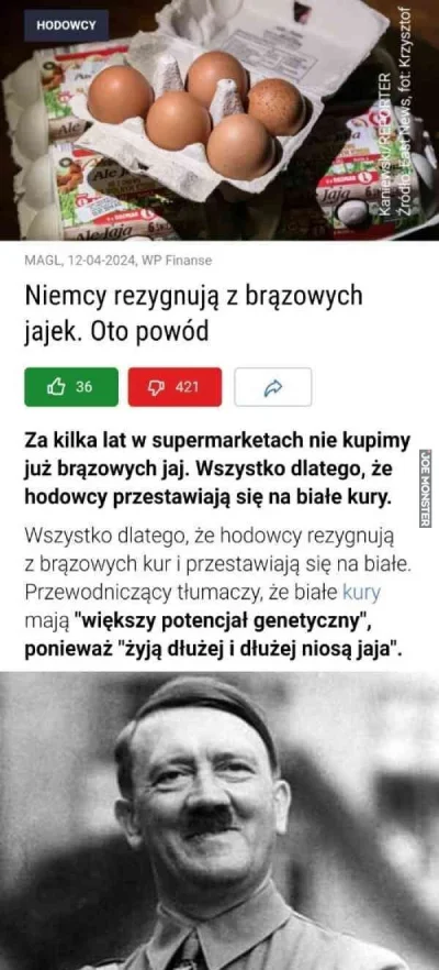 wfyokyga - #ocieplaniewizerunkuadolfahitlera