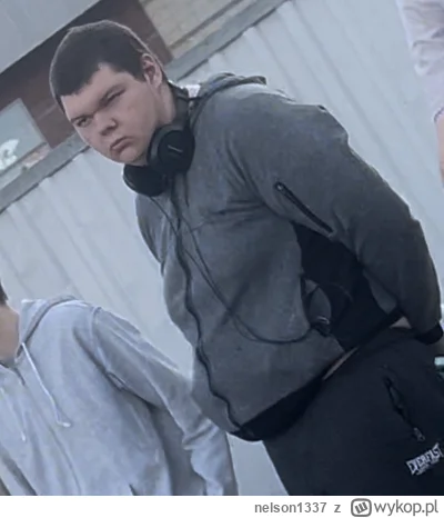 nelson1337 - Jednak żyje #dominogamer
