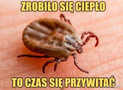 mvriami - Jakieś 8 lat temu złapałam kleszcza i miałam rumień, potem brałam 3 tygodni...