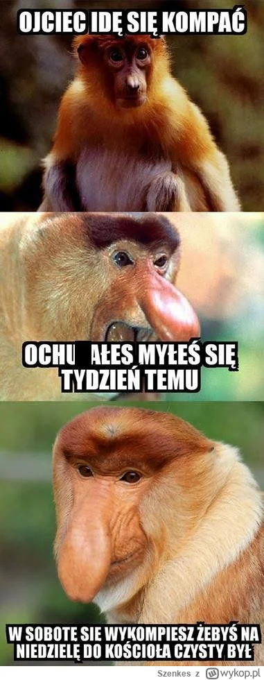 Szenkes - #konkursnanajbardziejgownianymemznosaczem #polskiedomy #humorobrazkowy #heh...