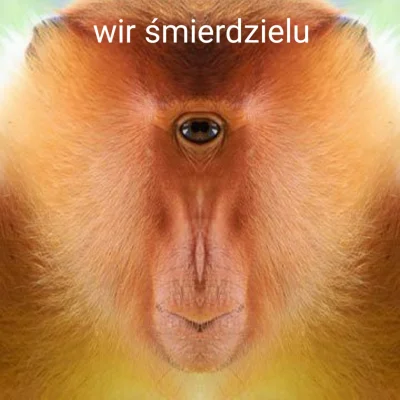 JanNaj358 - @Macuga_: prądy wirowe mnie wciągną