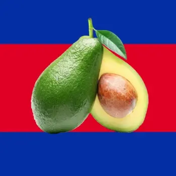 wujeksredniarada - Dajcie jakas instrukcje z linkami jak zglaszac i o co spoconego zb...