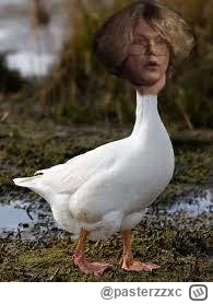 pasterzzxc - Poproszę o plusy dla Pierzastej Gęsi.
#famemma