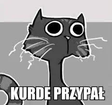 Mr3nKi - @wybryk_natury: