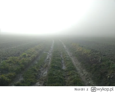 Nordri - Poszłam z psami na spacer. 
Tłumaczyłam im, że przyszedł alert rcb, bo smog,...