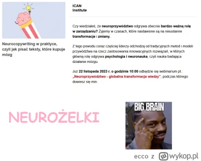 ecco - Neurocopywriting, neurozarządzanie, neurojanusz. Kurła, jakiś nowy trend, chyb...