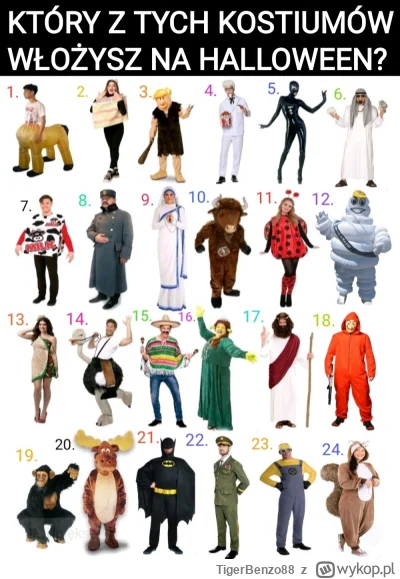 TigerBenzo88 - #kononowicz #patostreamy #szkolna17 #us17 #halloween #kostiumy