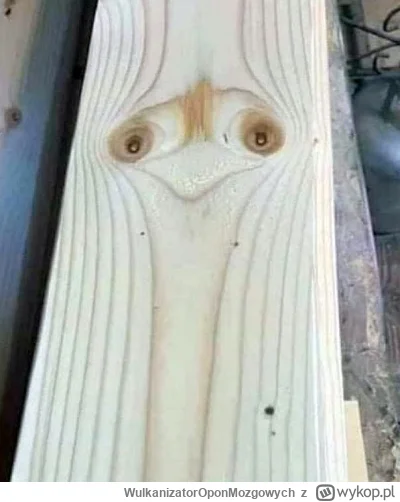 W.....h - @TeresaKorolInvestments: i tak to się skończyło...