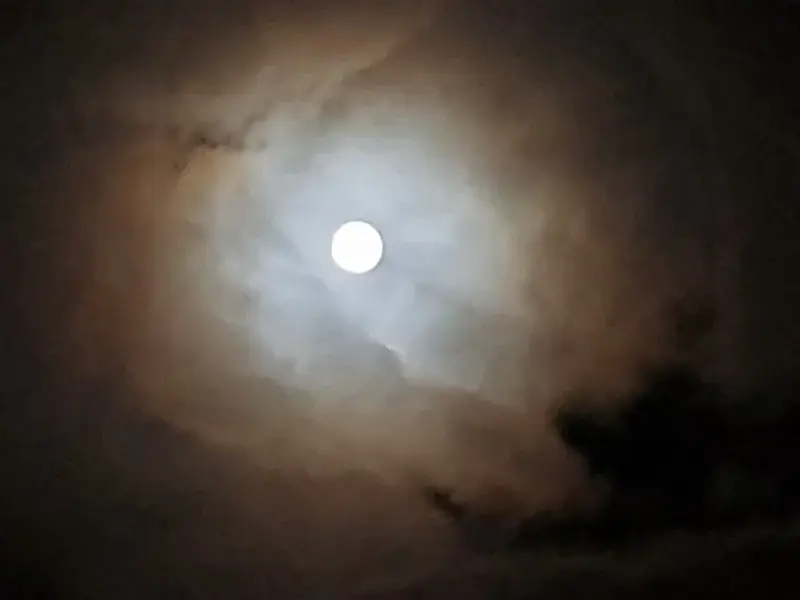 Van-der-Ledre - .

#przegryw