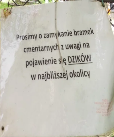 KingaM - mial do mnie przyjsc typ z olxa kupic jakas rzecz ale żona sie spozniala wie...