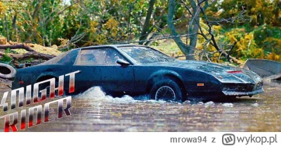 mrowa94 - Nawet David i jego KITT juz szukają chłopecka 
#limanowa