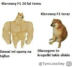 Tymczas0wy - opony-na-tajfun.jpg

#f1 #f1memy #humorobrazkowy