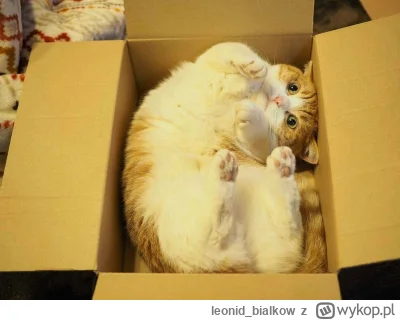 leonid_bialkow - @wfyokyga: cze dla cb