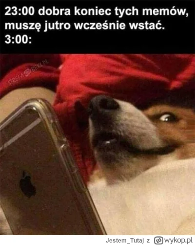 JestemTutaj - ¯\(ツ)_/¯