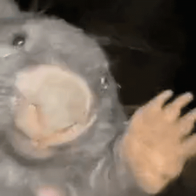 wfyokyga - Uwielbiam tego gifa xDD