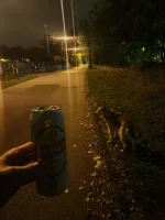 Fantomo - Chuop znowu spać nie może więc chodzi i pije bo co mu zostało