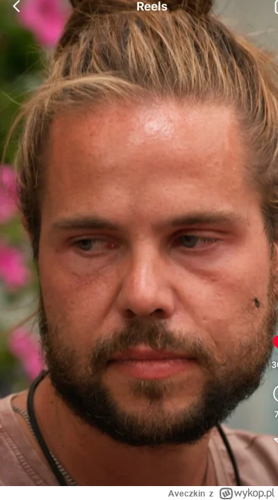 Aveczkin - #farma do obsranego ananasa po nominacji aż muchy zaczęły przylatywać