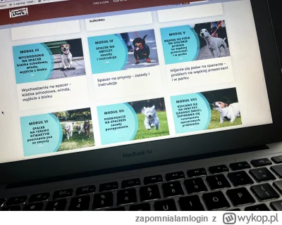 zapomnialamlogin - Najlepszy trener /#behawiorysta w #krakow dla reaktywnego #pies, k...
