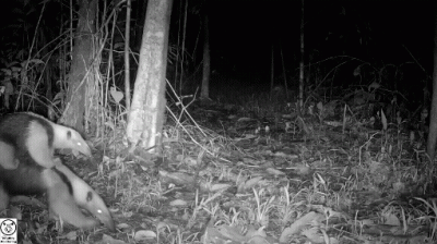 jestemtakizmeczony - @jestemtakizmeczony: