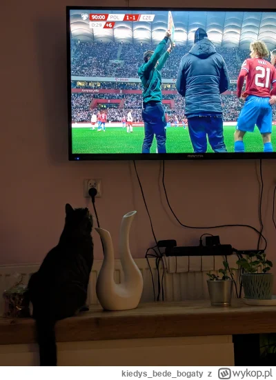 kiedysbedebogaty - nawet mój kot czeka w niecierpliwości 

#mecz
