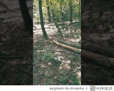 wyginam-do-drawska - takajesprawda #bonzo #patostreamy