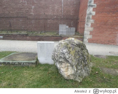 Aleale2 - #jasnagora kamień wapienny na Jasnej górze?
