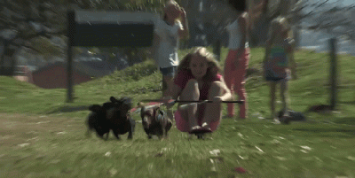 wfyokyga - Paruwkowóz