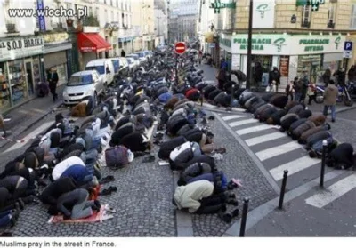 GarbatyNosek2 - Polacy przestali chodzić do kościołów a większość szydzi i wstydzi si...