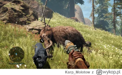 Karp_Molotow - Chłop chory na zapalenie oskrzeli, wykop #!$%@?, to se przynajmniej w ...