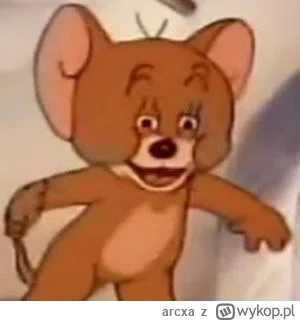 arcxa - @zawi84: pov: holownia jak dostal ostatnie pytanie w debacie zarublika