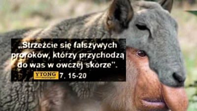 Panitsch - #konkursnanajbardziejgownianymemznosaczem