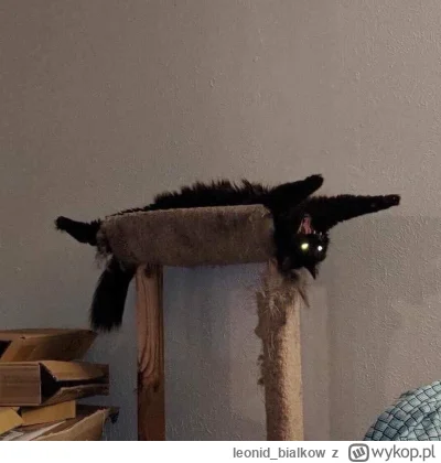 leonid_bialkow - @dywergent: stefan to nie jes melatonina tylko kocimientka