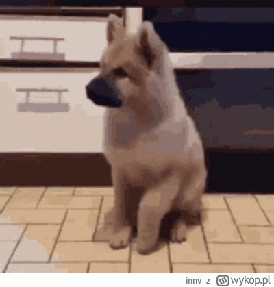 innv - Już za chwilę.

#gielda