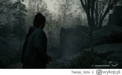 Twoja_tata - Jest klimacik
#gry #alanwake