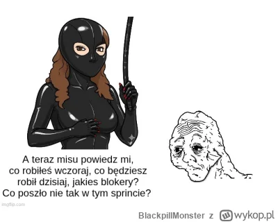 BlackpillMonster - #programista15k #programowanie #pracait #korposwiat