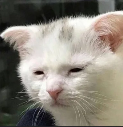 thority - Obejrzane, ale jakim kosztem…

#reprezentacja
#mecz