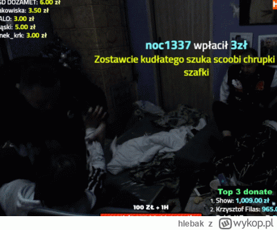 hlebak - wykopek po 1 kieliszku wódki
#danielmagical #patostreamy