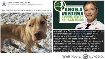 WielkiNos - >Schronisko na Paluchu zdaje sobie sprawę z trudności, jakie może sprawia...