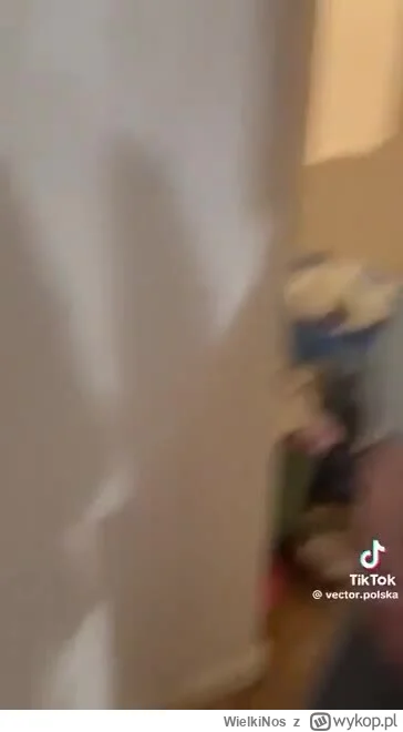 WielkiNos - @kratofel123 im to nie przeszkadza. Tu facet nagrywa jak mu psiara zasrał...