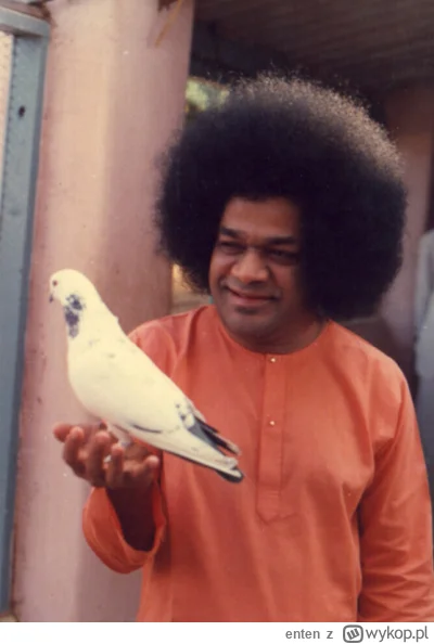 enten - Patrzcie jakiego dużego mam ptaka!

#bernatowicz #codziennysaibaba