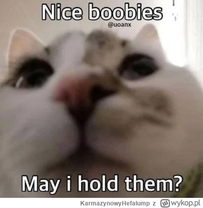 KarmazynowyHefalump - @nekoenjoyer: