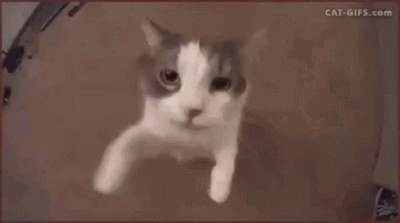 La-Paz - Dobranoc
#przegryw