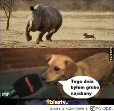 januszzczarnolasu - ( ͡° ͜ʖ ͡°)