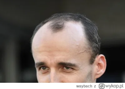 waybach - zakola są turbo-obrzydliwe. 
Jak można być dorosłym chłopem po 30stce z zak...