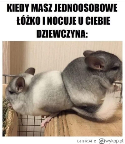 Leisik34 - #heheszki #humorobrazkowy #związki