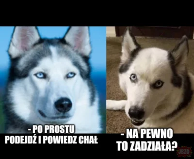 WnukCebuli - #humorobrazkowy #heheszki #piesel #randkujzwykopem
