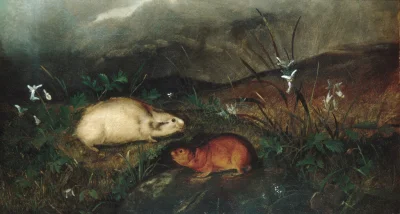Loskamilos1 - Lemingi z zatoki Hudson, John Woodhouse Audubon, rok 1846.

#necrobook ...